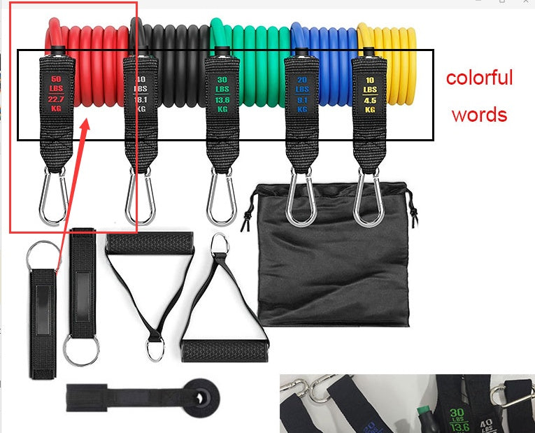 Fitness Rally Resistance Bands – Elastic Exercise Rope Set for Full-Body Workouts | Clestro